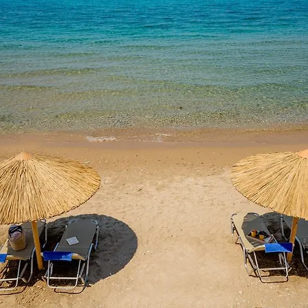 Vilă Perla Beach *
